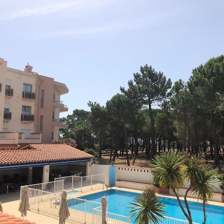 Plage Des Pins أرجيليه- سور- مير المظهر الخارجي الصورة